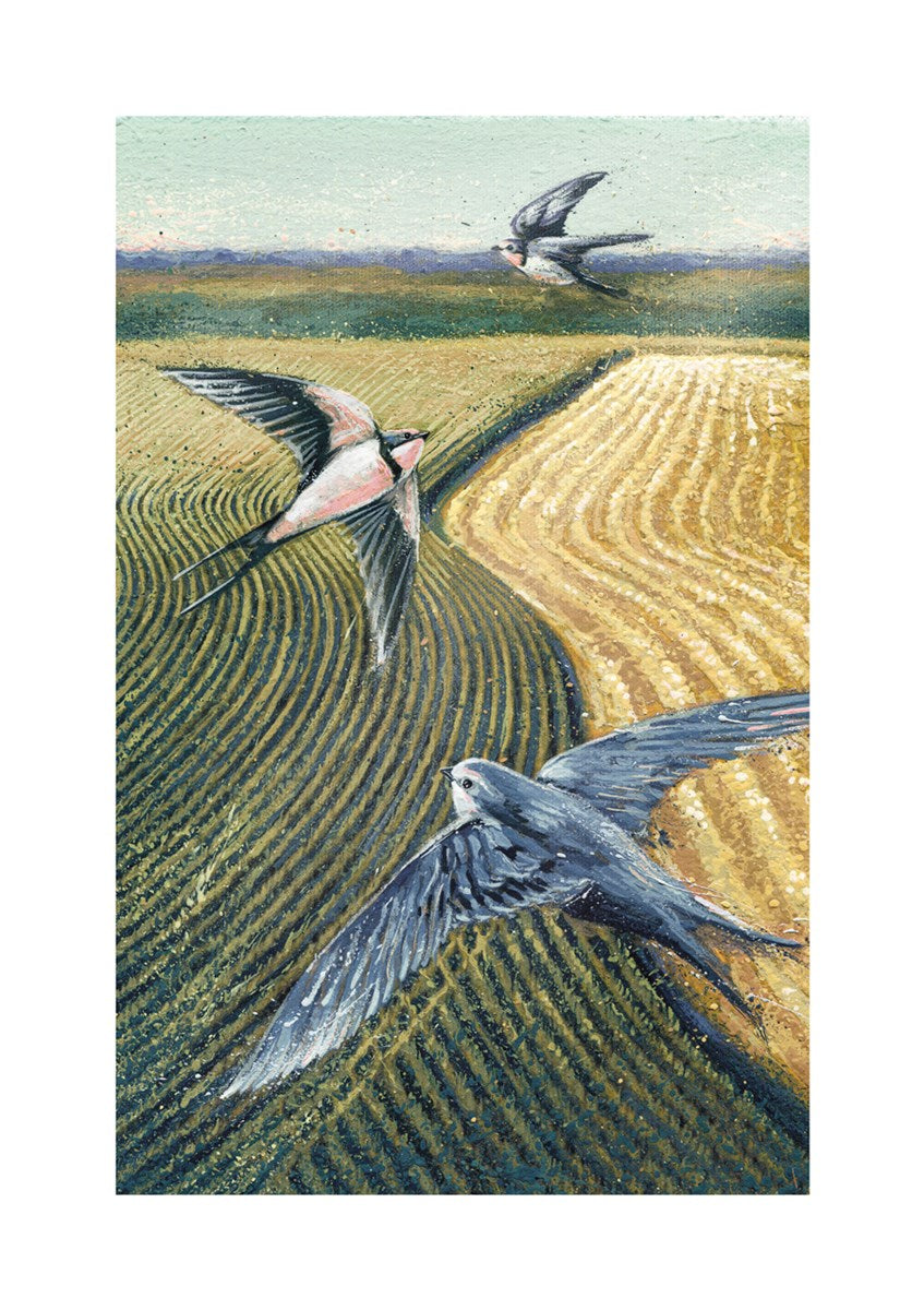 2-osainen kortti The Art File - Linnut viljapellon yllä