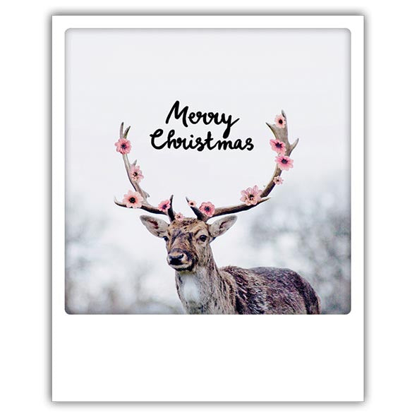 Joulukortti Pickmotion - Merry christmas deer, jouluporo
