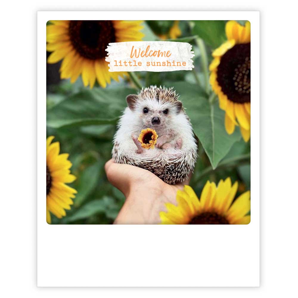 Postcard Pickmotion - Hedgehog and sunflowers, Welcome Little Sunshine