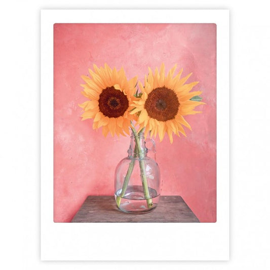 Juliste Pickmotion - Sunflowers