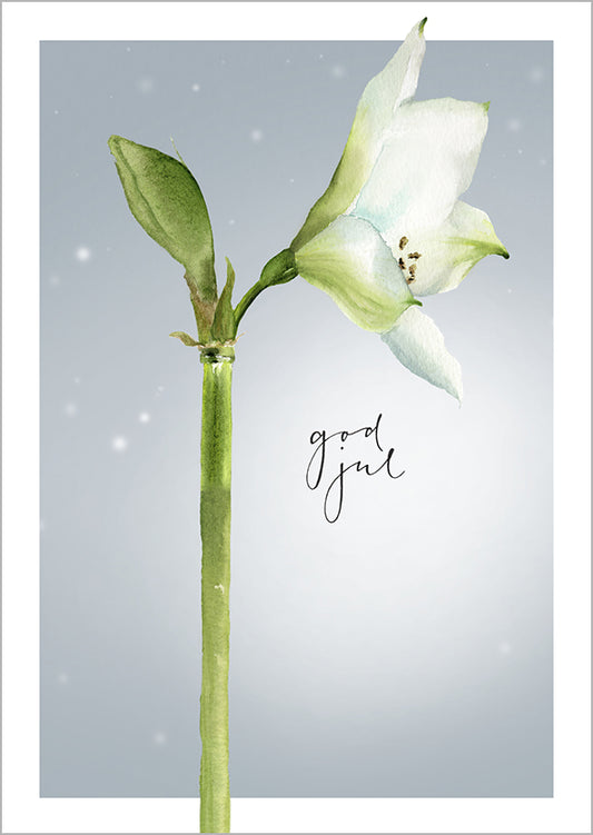 Christmas card Henna Adel - White amaryllis, God publ